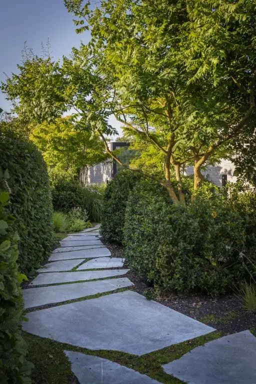 Landschapsarchitect in Bergen op Zoom