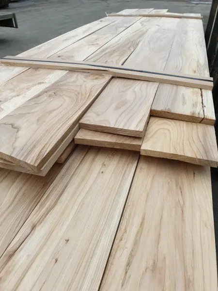 Houthandel in Bergen op Zoom