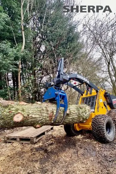 Hovenier in Bergen op Zoom